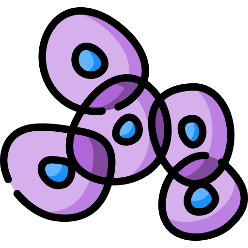 Stemcells Tourism